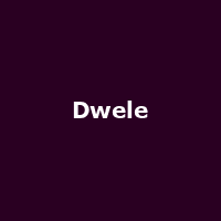 Dwele - Image: www.dwele.net