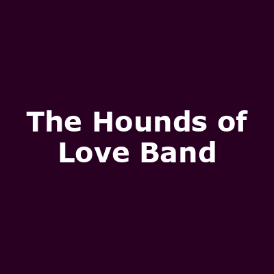 The Hounds of Love Band