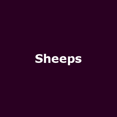 Sheeps