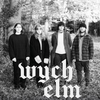 wych elm