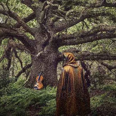 Frozen Light: The Ancient Oak of Baldor