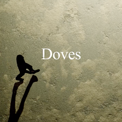 Doves