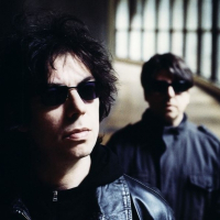 Echo and the Bunnymen