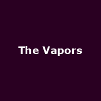 The Vapors