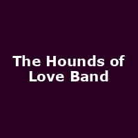 The Hounds of Love Band