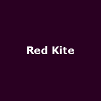 Red Kite