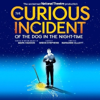 The Curious Incident of the Dog in the Night-Time