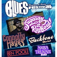 Stockton Blues, Rhythm and Rock Festival