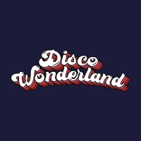 ABBA Disco Wonderland