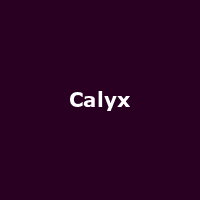 Calyx